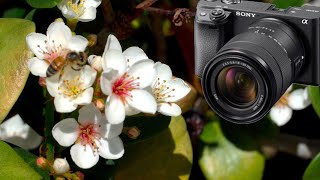 Sony Alpha A6400 Mirrorless Camera - 4K Video Tests! 📷