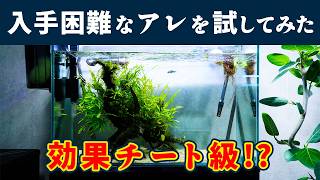 【グリーンウォーター】効果バツグン!水をクリアにする海外製品 sera クリスタルクリア&フォスベックグラニュレイト【アクアリウム用品レビュー】