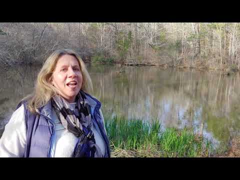 KPNC Water Education TGD Project - End of Day Thank You Video