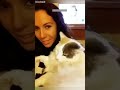Cat Lover Kitten Meowing Call ‍ Ep 2631