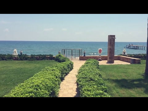 Zedd I Will Find You Lagu Mp3, Mp4, 3GP - Save Lagu