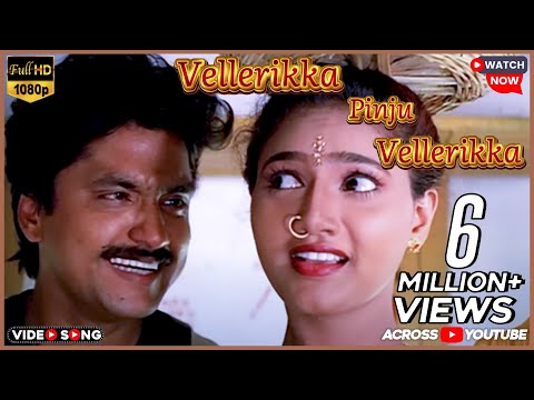 Vellerikka Pinju Vellerikka Video Song HD | Kadhal Kottai | Ajith Kumar | Devayani | Tamil Song