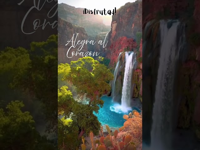 Vídeo relacionado con Regreso a la naturaleza: Cómo amar la vida y preservarla (Colección naturaleza salvaje)