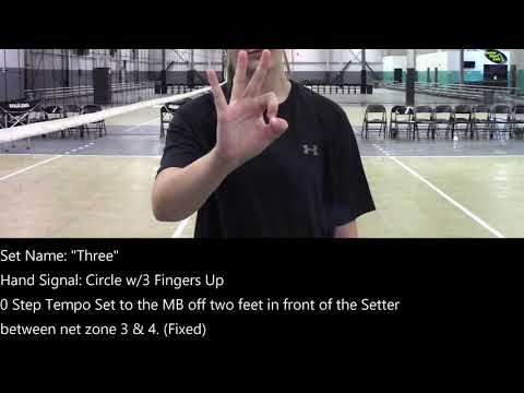 Setter Hand Signals (Updated)