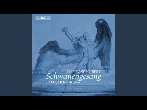 Schwanengesang, S. 560 (After Schubert's D. 957): No. 7, Ständchen