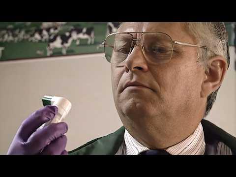 The Missing Suburban Wife & the Neighbor Who Knew Too Much