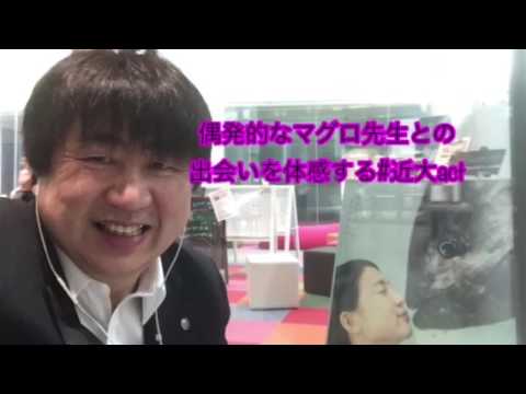 会計学科 近畿大学は海遊館を超えた水族館だ#近大act！木村勝則滋賀県高島市！