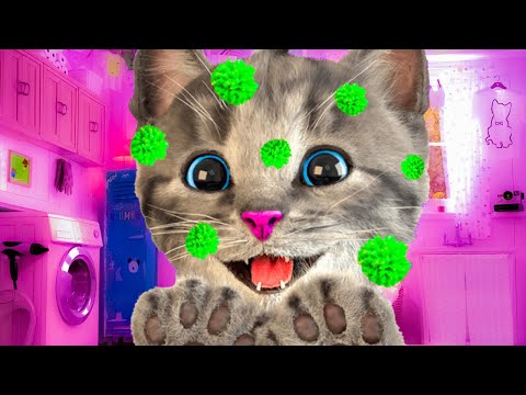 ANIMATED LITTLE KITTEN ADVENTURE AND ANIMAL FRIENDS - SUPER CARTOON EDUCATIONAL VIDEO AND CATS