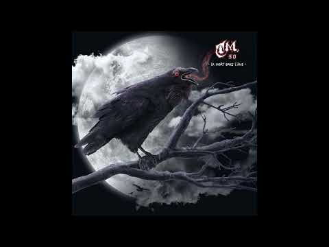 Negative Glitch -- Venice Bitch