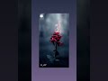 Liranov Whatsapp Status Video