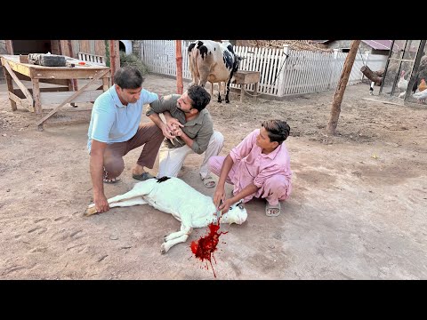 Wahab Bhiya Milo Ko Zibah Krany Lge😭