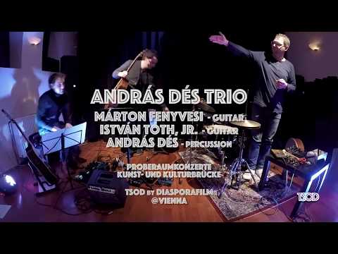 The Sound Of Diaspora // András Dés Trio // Proberaumkonzerte // tSoD #15