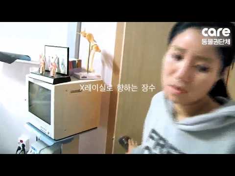 Jangsoo’s Story