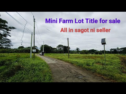 #Vlog402 Title mini Farm Lot for sale | all in sagot ni seller