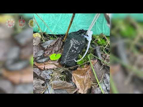 Smūgis "balionų" kontrabandą organizavusiai gaujai