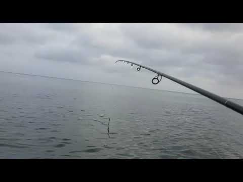 Morskie trocie z plaży - poradnik dla początkujących