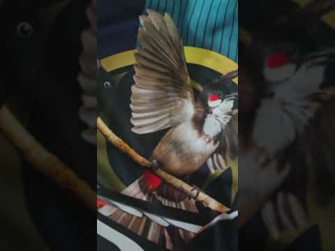 Full Sublimation Shirt
