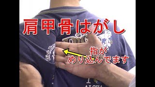 あなたの肩甲骨はどこまで入る！？肩甲骨のペアストレッチ