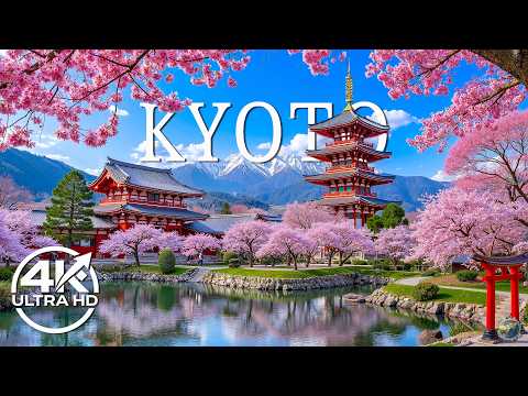 Kyoto Spring 4K 🌸 Stunning Sakura Blossoms, Historic Shrines & Serene Garden Landscapes