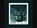 Cocoon - Hummingbird - From Panda Mountains