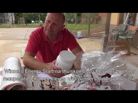 Video Bezoek aan de hokken van Bert Penne, Nederhasselt (NL)