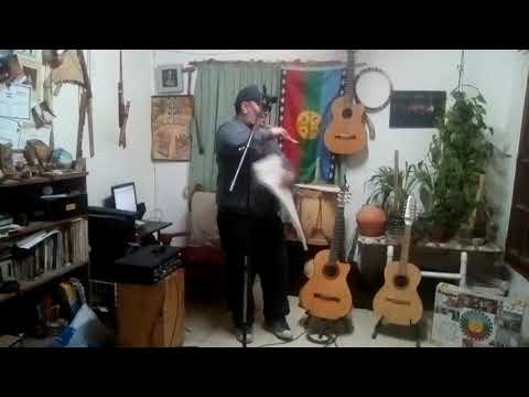 Carlos Cheuque - La vieja (chacarera)