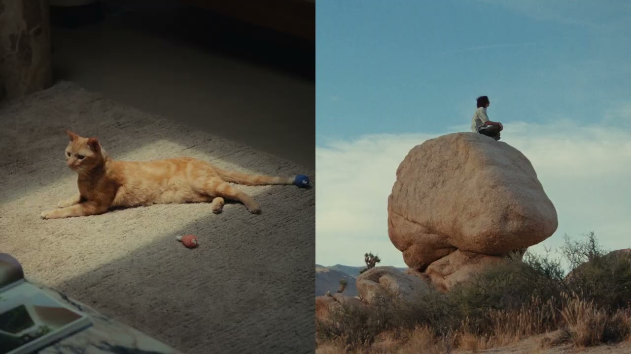 SmallsIsCat - YouTube