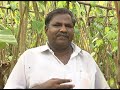 Pon Vilaiyum Bhoomi 30 08 2019 மாத்தியோசிச்சேங்க ICM In Betel Leav