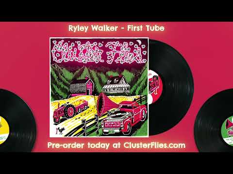 Cluster Flies: Ryley Walker - "First Tube"