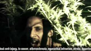 JULIAN MARLEY - BOOM DRAW (Official Video)