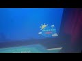 Nick Jr On Nick Earth Day Screen Bug 2021