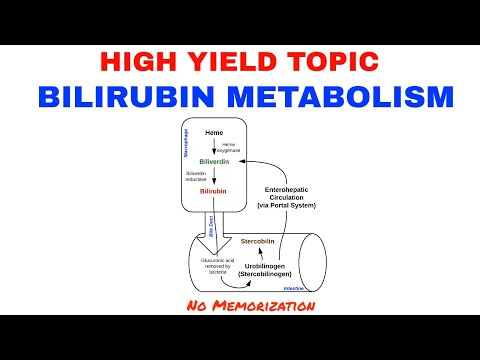 BILIRUBIN METABOLISM/JAUNDICE/HIGH YIELD/USMLE STEP 1/USMLE STEP 2 CK/MCC/CLINICAL MEDICINE
