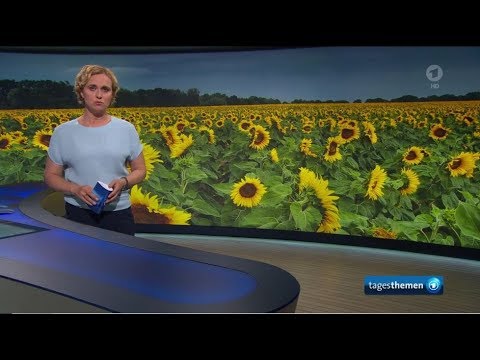 tagesthemen 12.06.2019 22:15 Uhr
