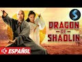 Dragon De Shaolin Película De Kung Fu Película Completa En Español