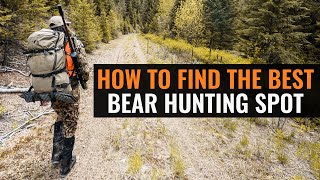 How To Find The BEST Bear Hunting Spot
