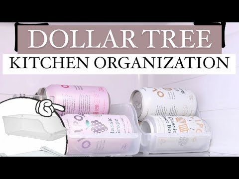 VIRAL 🤯 Dollar Tree ✨KITCHEN ORGANIZATION✨ #hacks #dollartree #kitchen #home #organization
