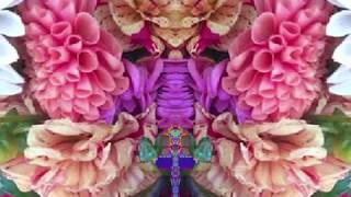 Alabama Song (by Dave Van Ronk live at Indiana U. &#39;64)