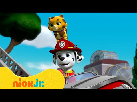 Capa de Patrulha Canina Resgata Animais Fujões! | Nick Jr. em Português
