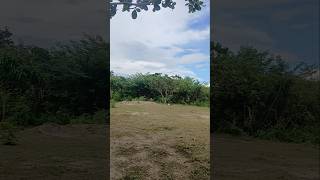 aqui começamos uma nova história pra nossas vidas 💚🌱🌴🌳🪴#gratidão #recantojoaopaulo ##nossocantinho