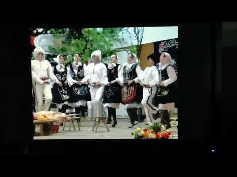Omladinski folklor, kud Lozovoca