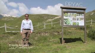 preview picture of video 'Il DRYAS - Gli ambienti del Giardino Alpino Valcava'