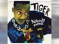 Tiger - Nobody Move (with lyrics)