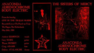 The Sisters of Mercy - Anaconda / Adrenochrome / Body Electric (Live 1984)