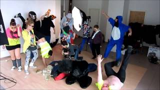 preview picture of video 'Harlem Shake in Bad Waldsee (Foto-Gbr.de)'