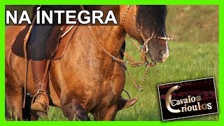 Miniatura do vídeo