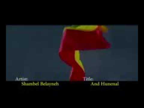 ሻምበል በላይ ነህ አንስተህ አፍርጠው