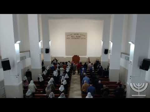 2022-04-24 Domenica Mattina - Fr. Gemelli - Rut Cap 1