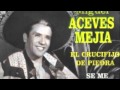 Miguel Aceves Mejia "El Crucifijo De Piedra" 