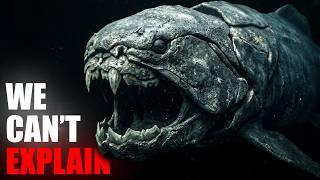 The Ocean's First Apex Predator Was Terrifying