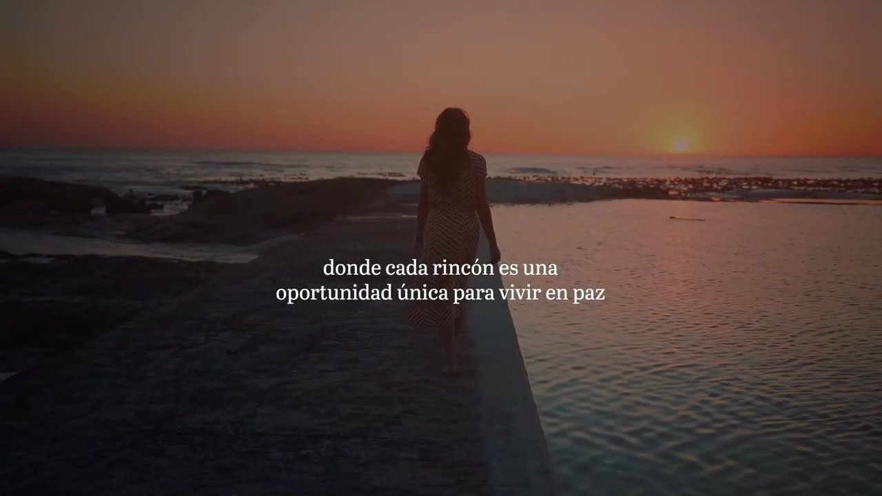 Sayab entrega de proyecto #ALZIA